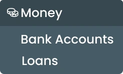 Money management software