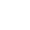 Vector 31